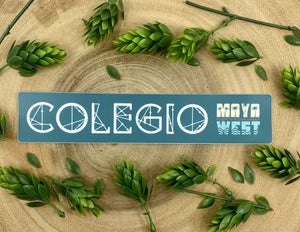COLEGIO Sticker