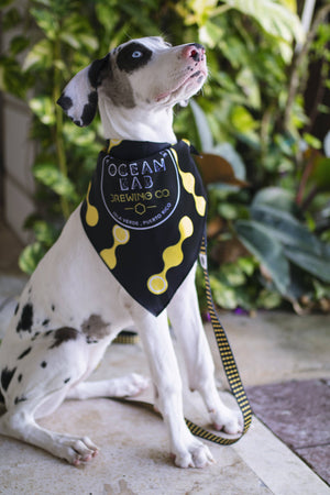 Ocean Lab Classic Dog Bandana