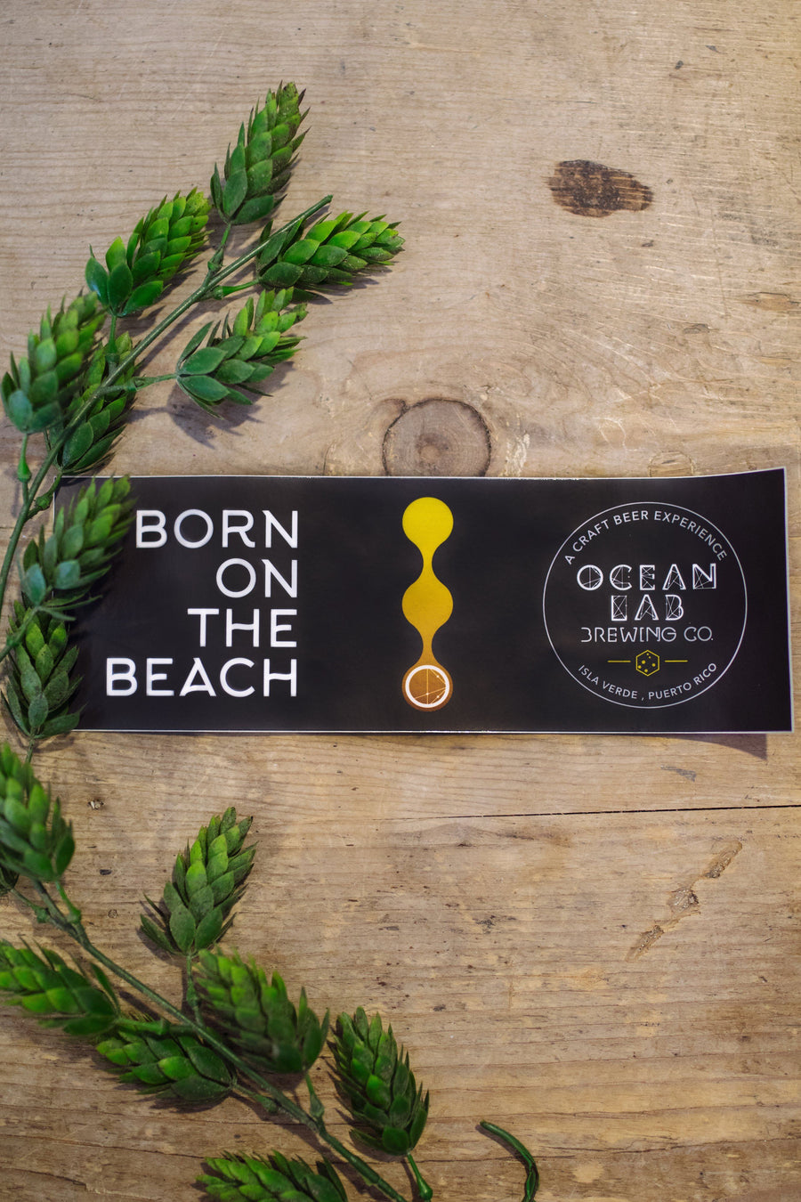 "Born On The Beach" Bumper Logo Sticker